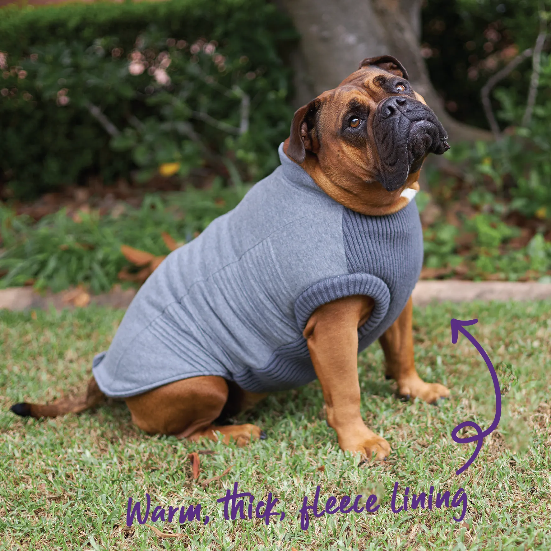 Armadillo Dog Jacket