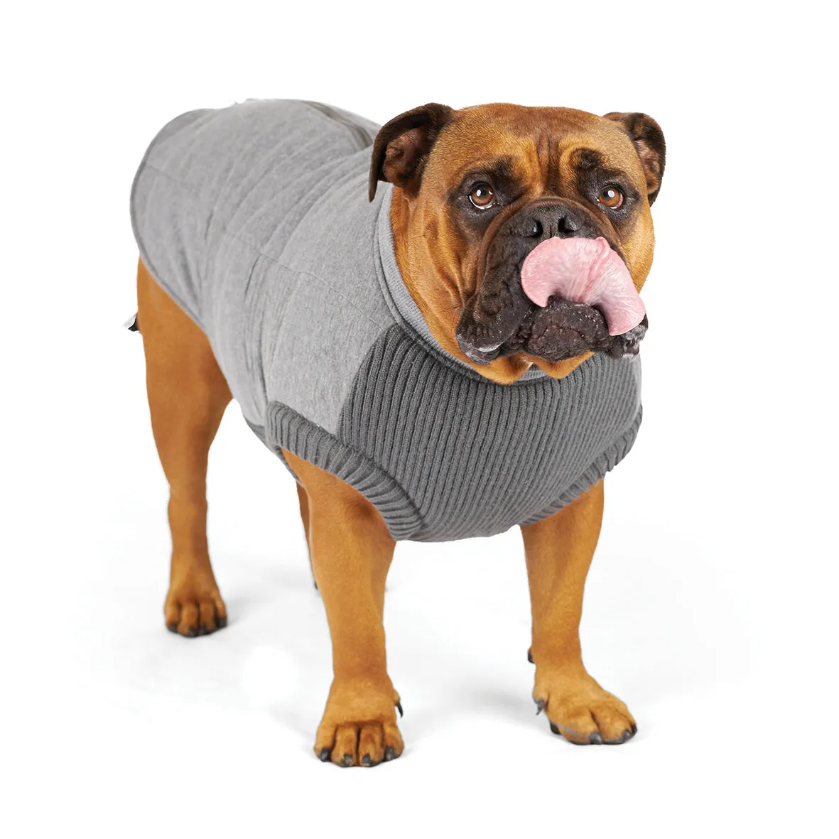 Armadillo Dog Jacket