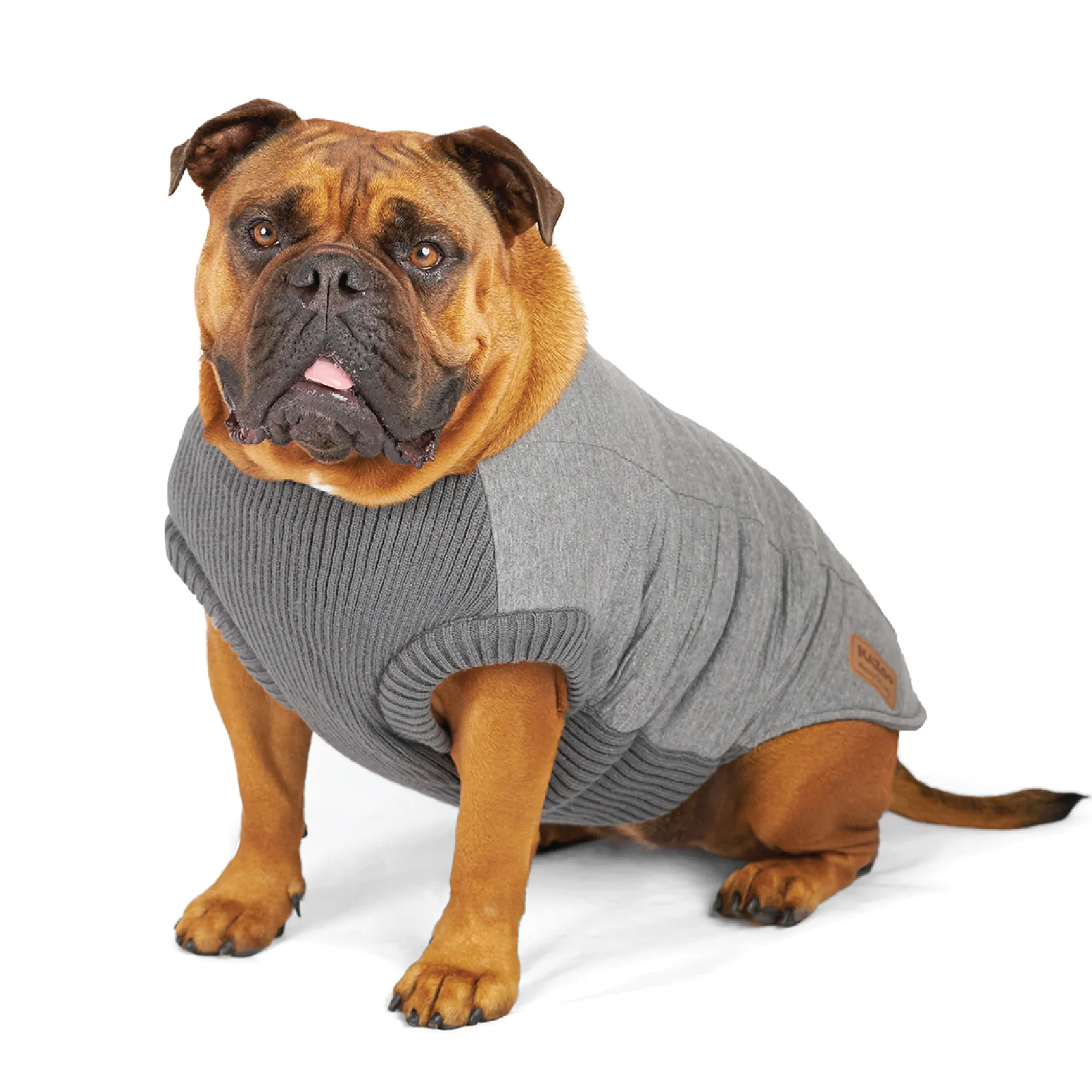 Armadillo Dog Jacket