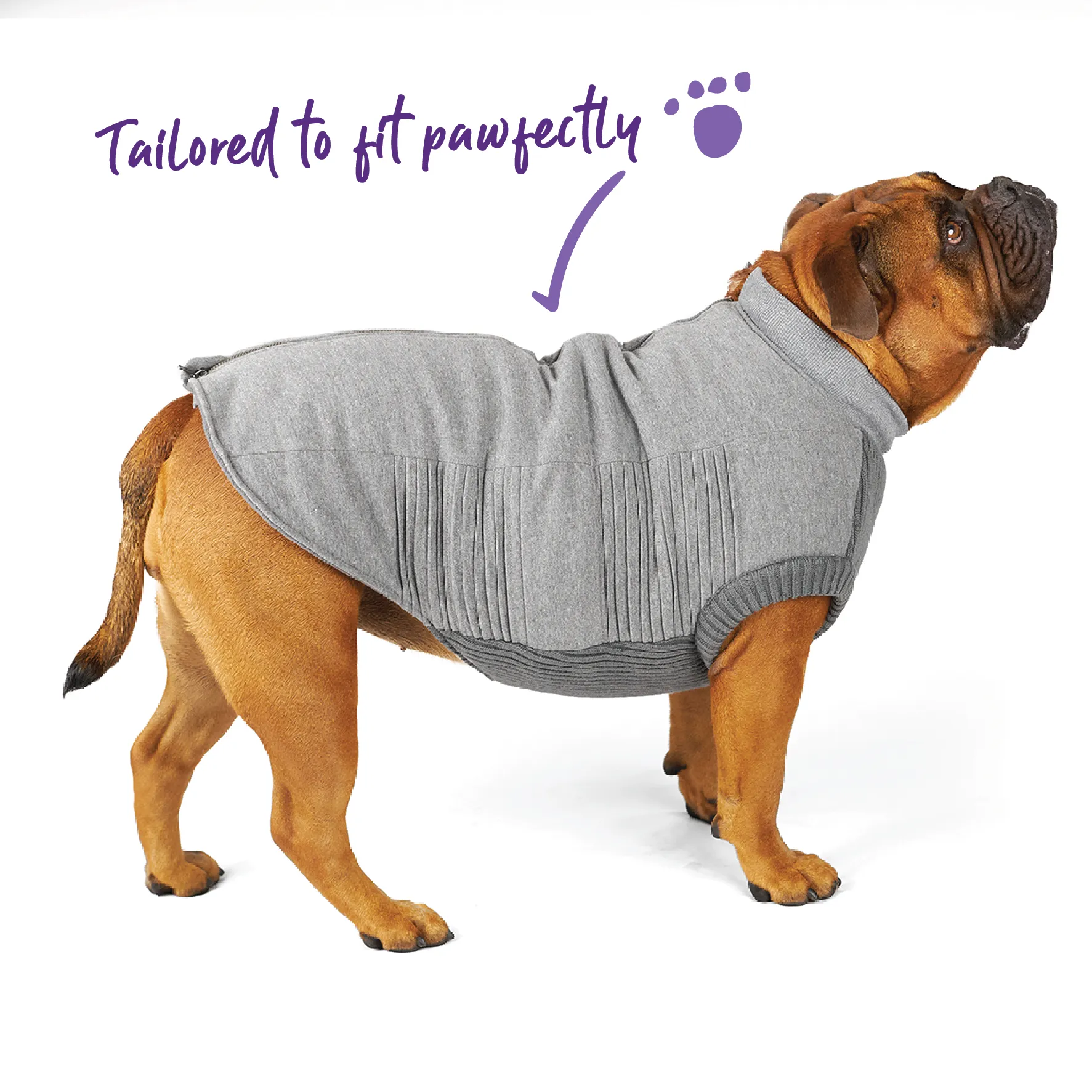 Armadillo Dog Jacket