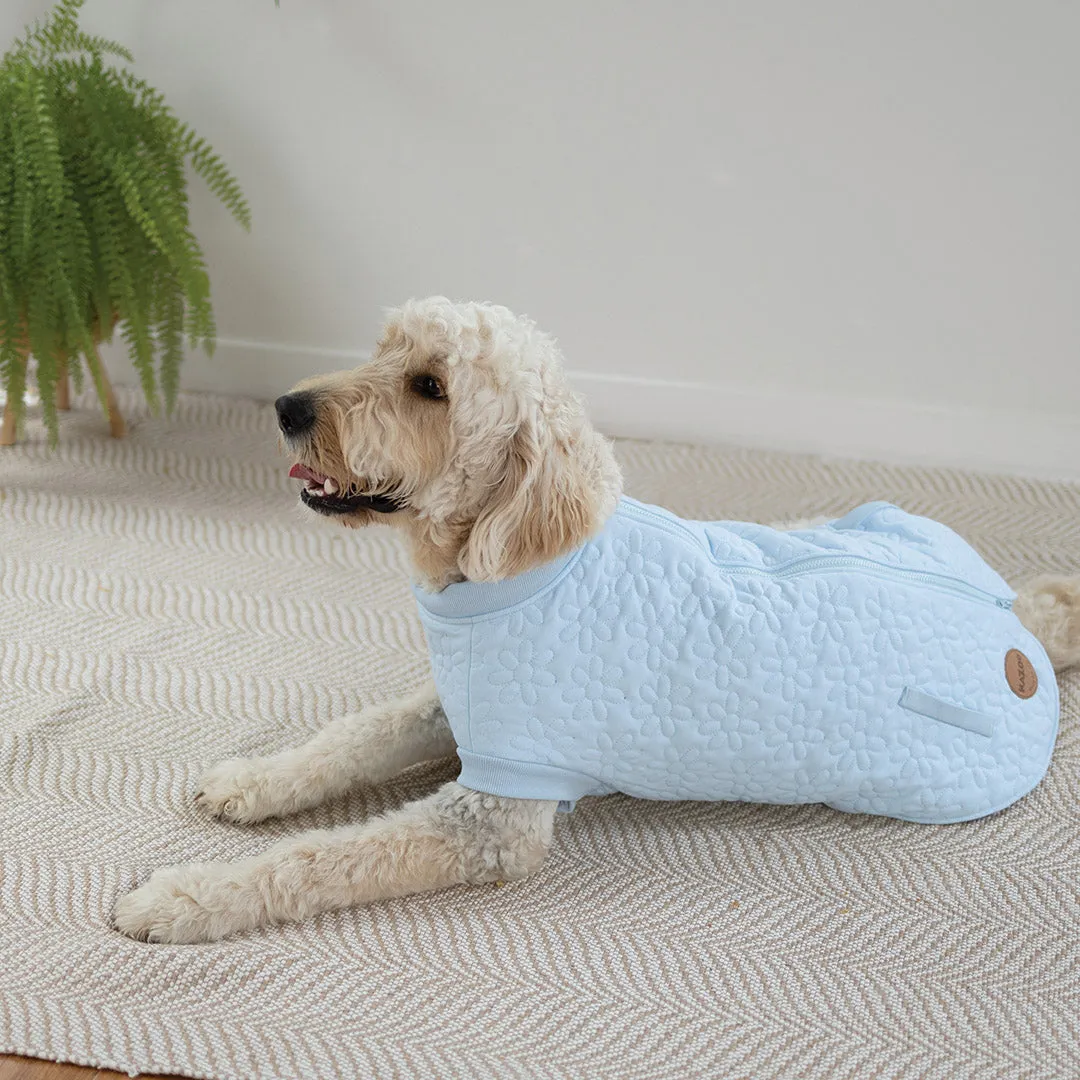 Flower Dog Jacket - Blue